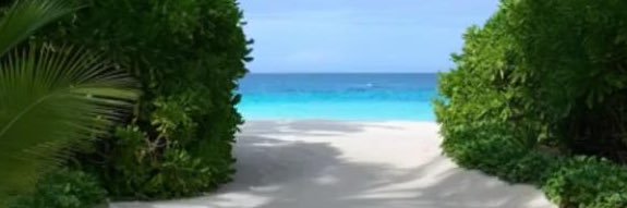 luccalucasi's profile banner image