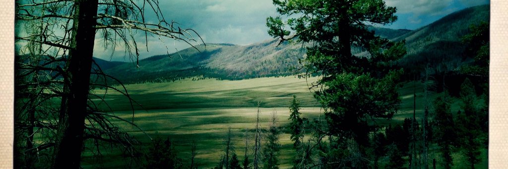 JereleNeeld's profile banner image