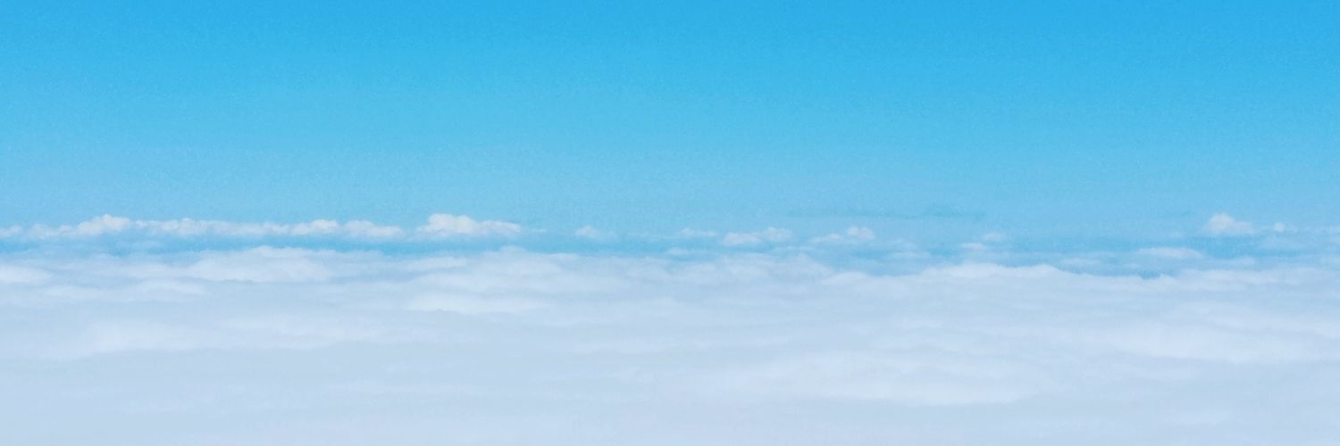 eviondelphin's profile banner image