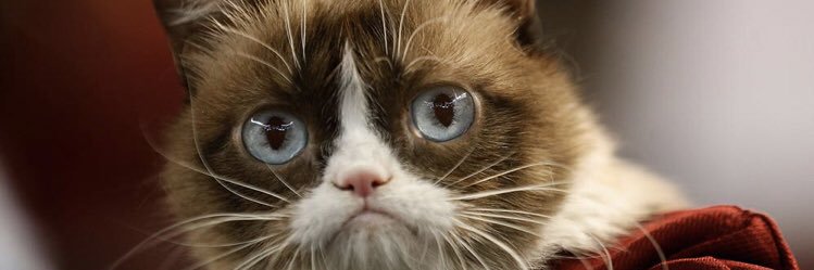 lesliewright34's profile banner image