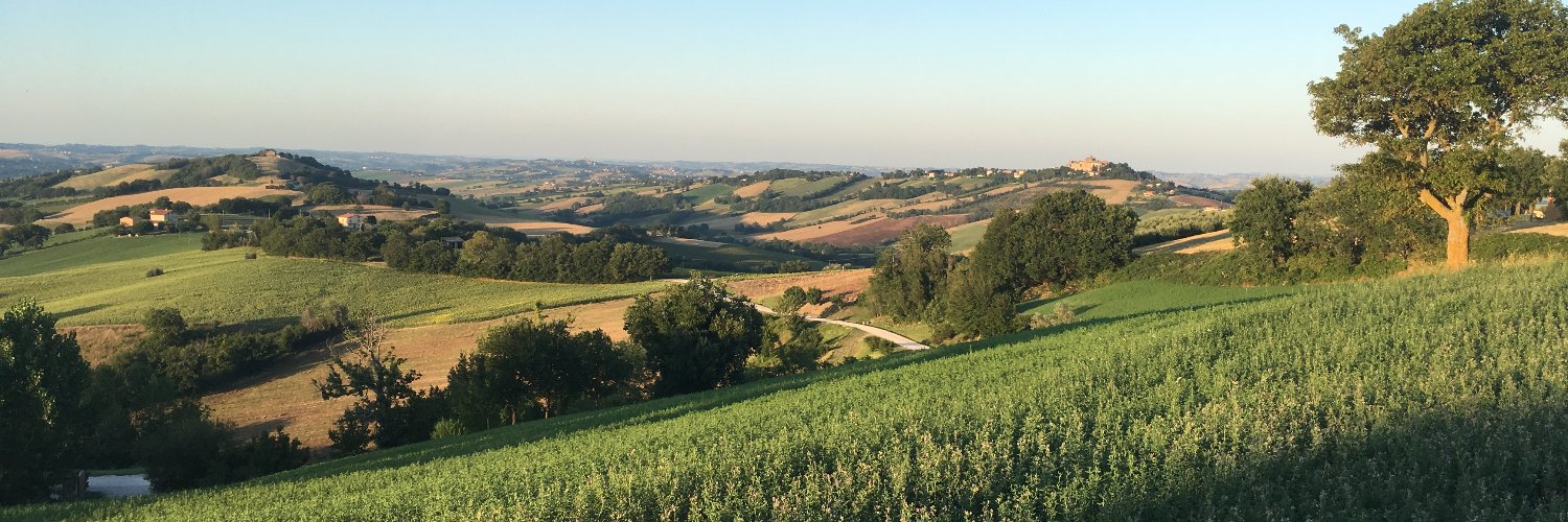 David Haakman banner