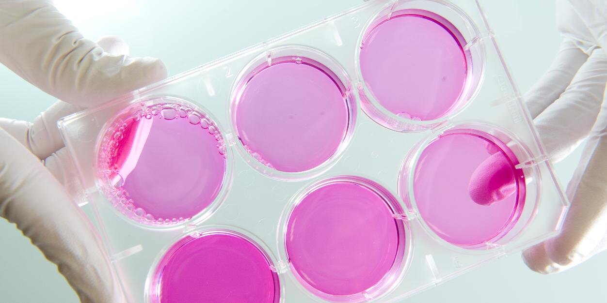 ABSBoneResearch's profile banner image