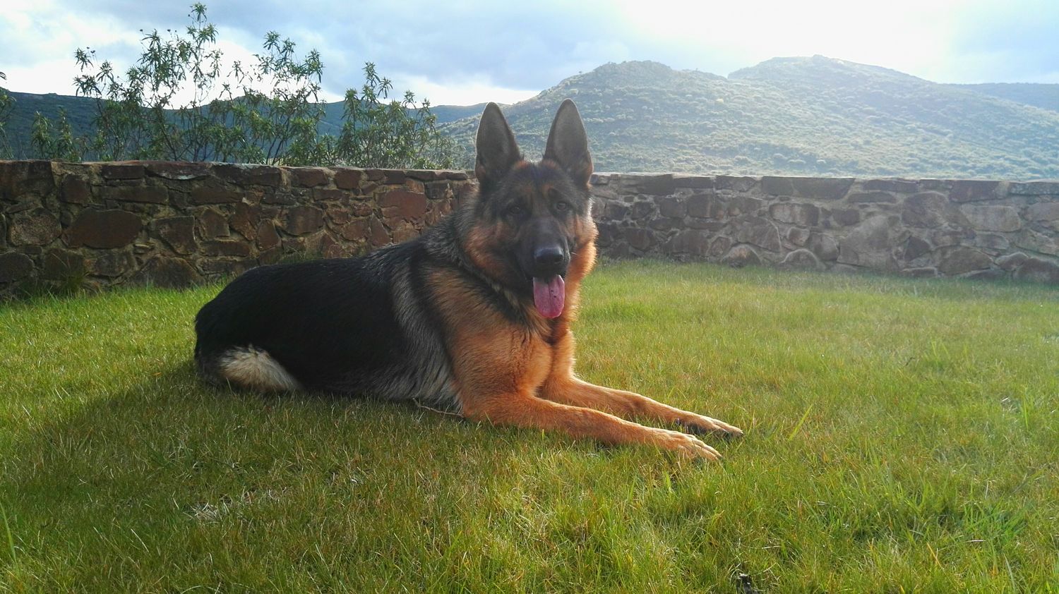 CarloM16's profile banner image