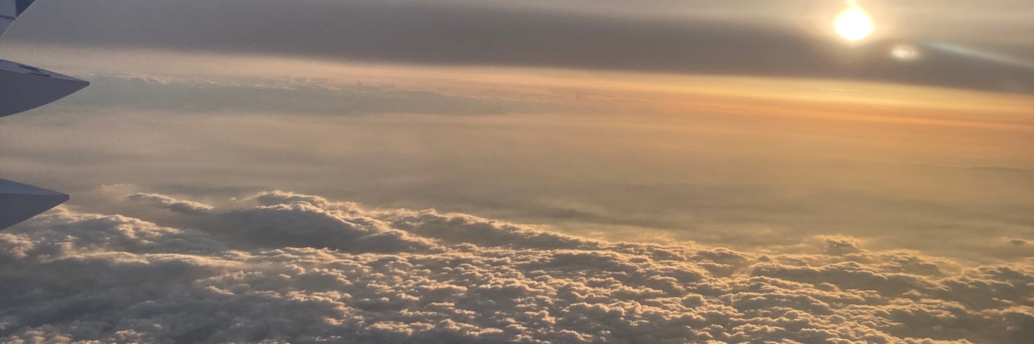 roman_dittrich's profile banner image