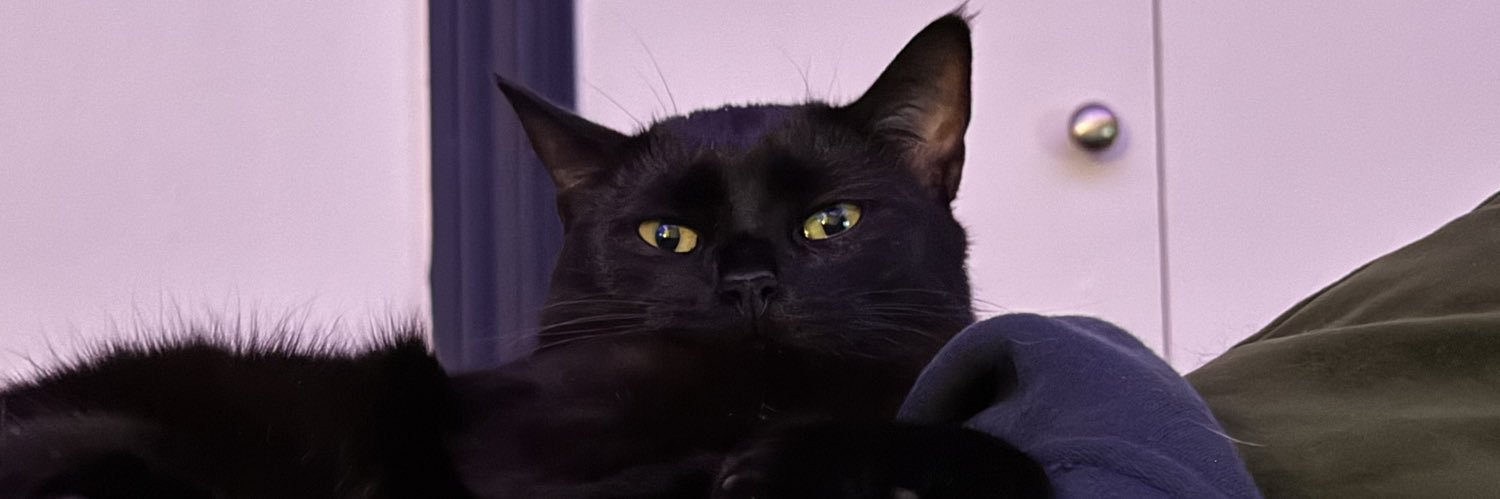 tanetots's profile banner image