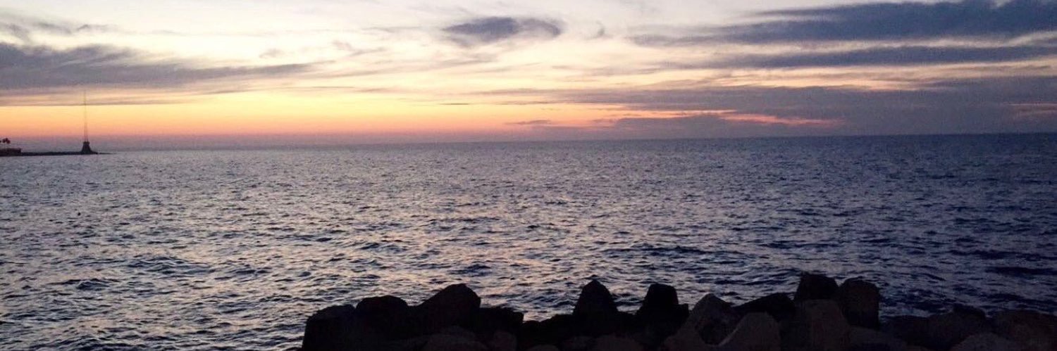 SaraAlbreik's profile banner image