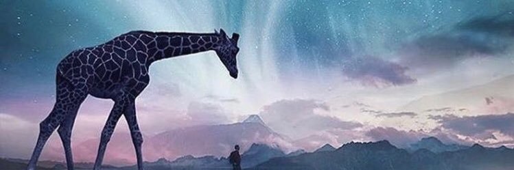 sandayyyye's profile banner image