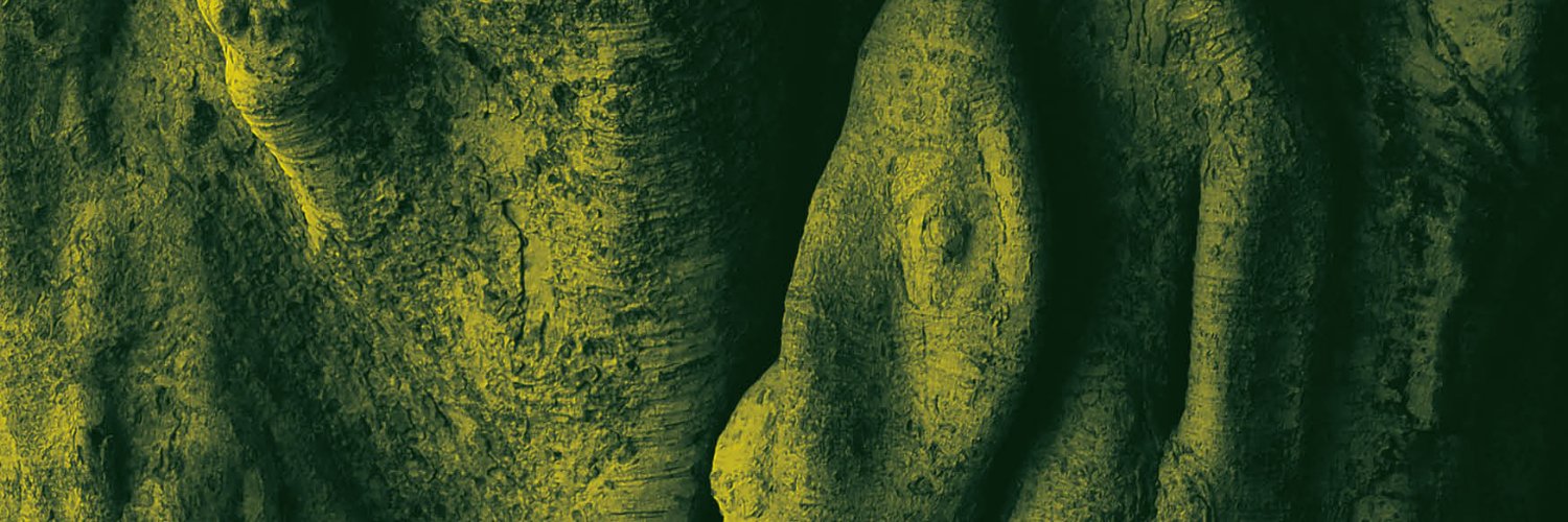 Amsterdamse Cantorij banner