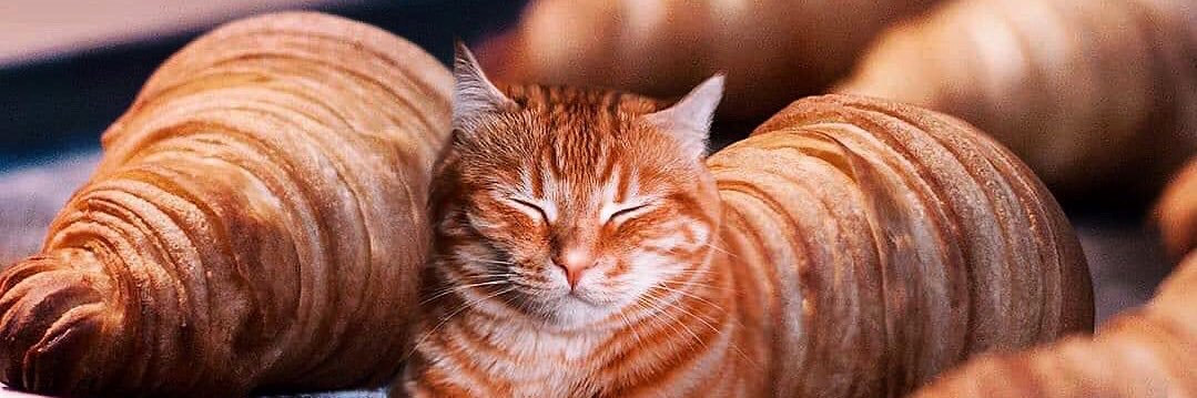 Lowkey haunted banner