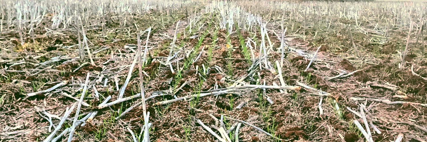 Brendan Torpy banner