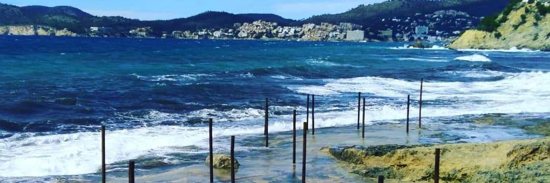 Toni Roig-Cuart banner