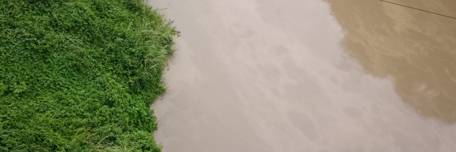 anowar333's profile banner image