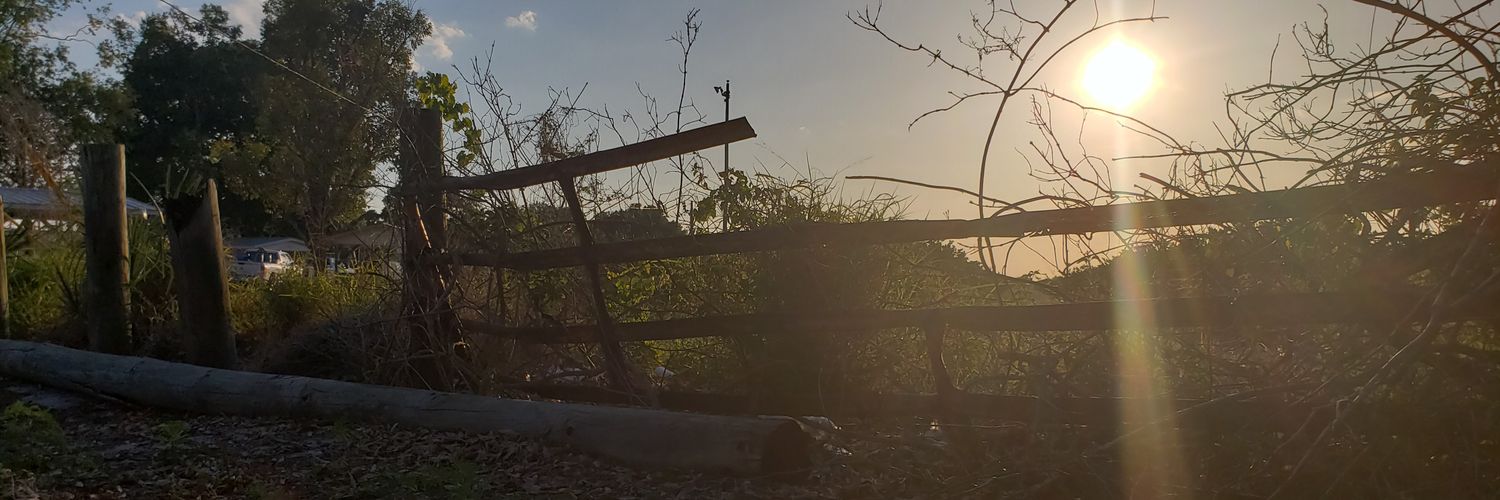 MoshJosh's profile banner image