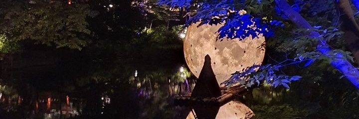 capsmm1's profile banner image