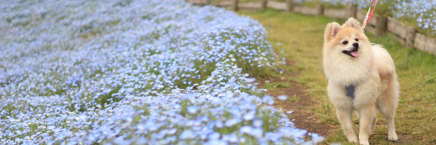 idumickey's profile banner image