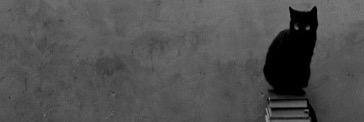 iliarou's profile banner image