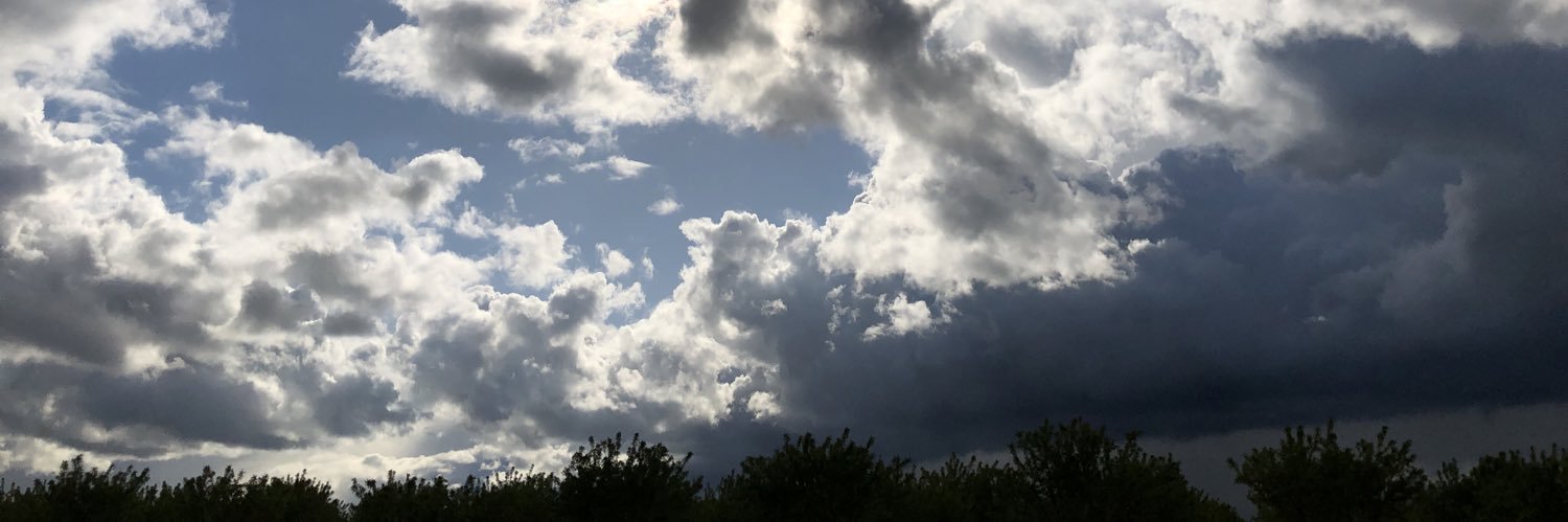 CarnageWave's profile banner image