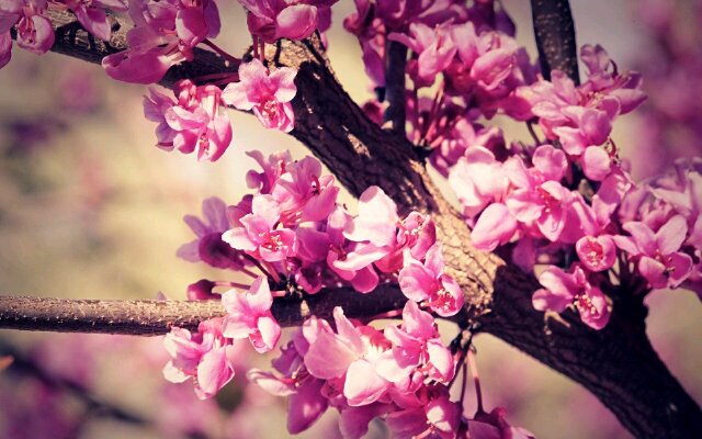 monicaputris's profile banner image