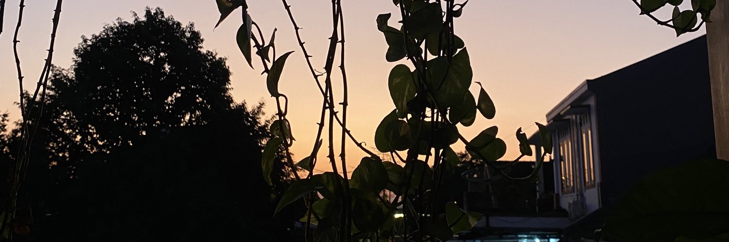 sapeutey's profile banner image