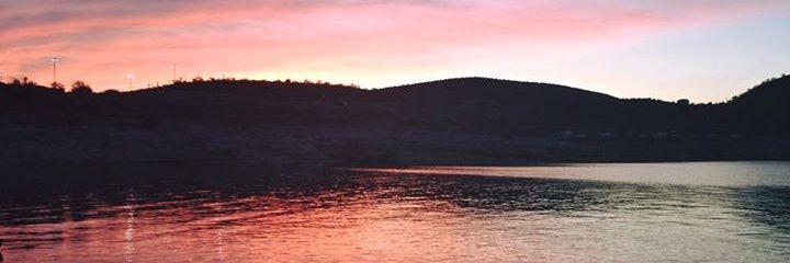 Alex Rajewski banner