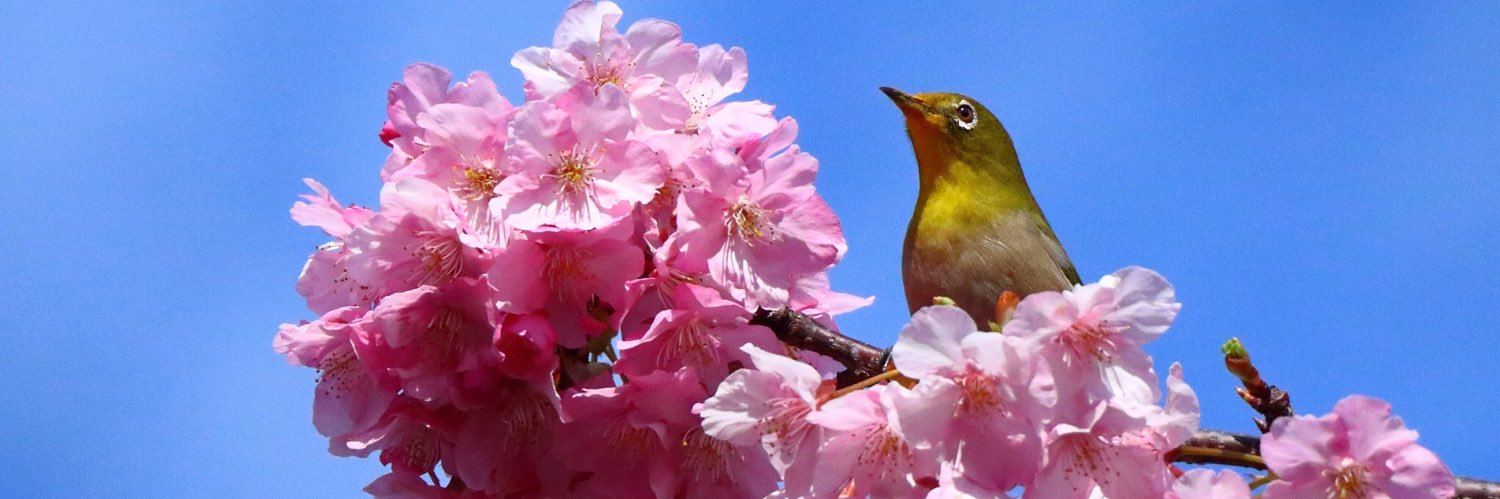 mfumiyuki's profile banner image