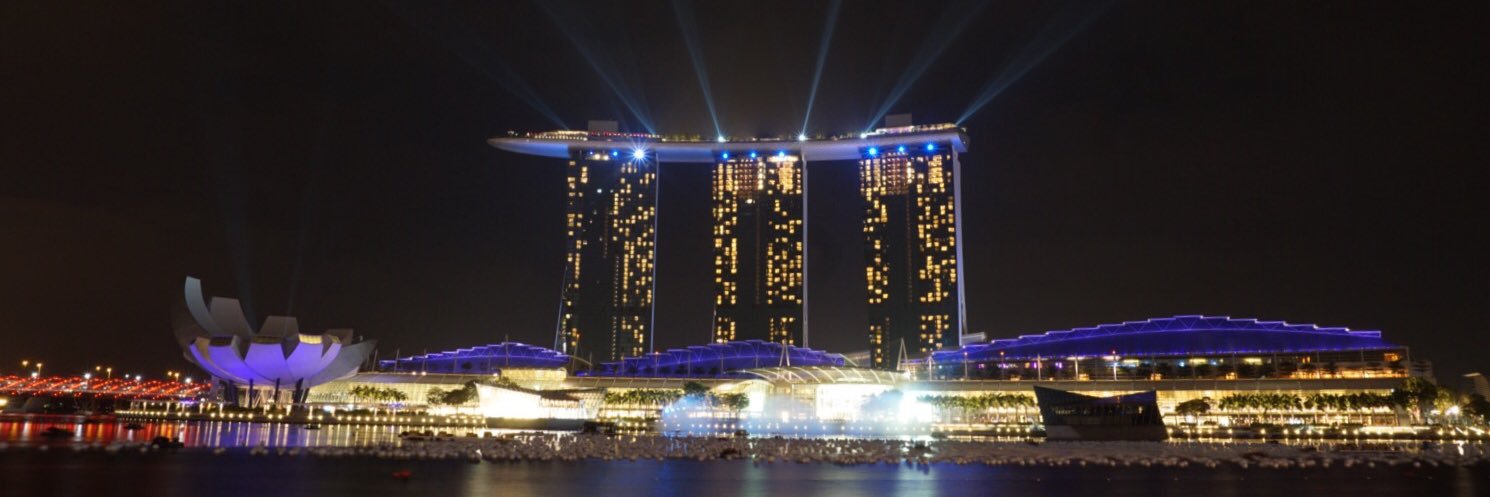 ˗ˏˋ Lion Haloho ˎˊ˗ banner