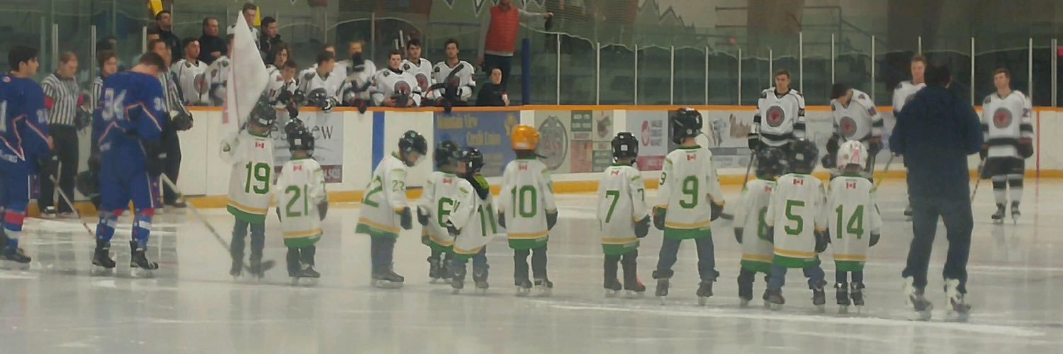 Krista Ardy Pick banner