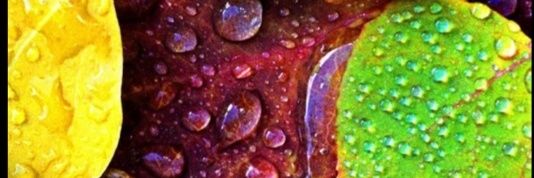 guandemor's profile banner image
