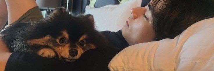 อ่อมม่านุ้งแท💜❄️🐻𝐵𝑙𝑢𝑒 & 𝐺𝑟𝑒𝑦 banner