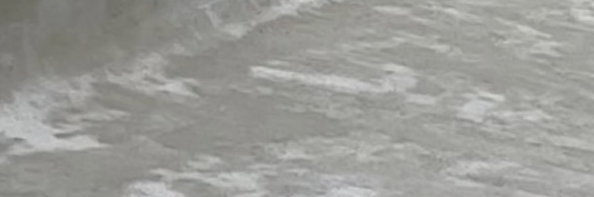 Gracy banner