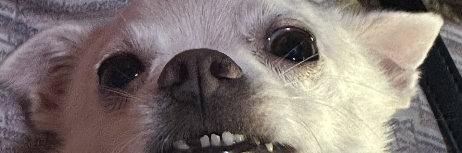 gene_density's profile banner image