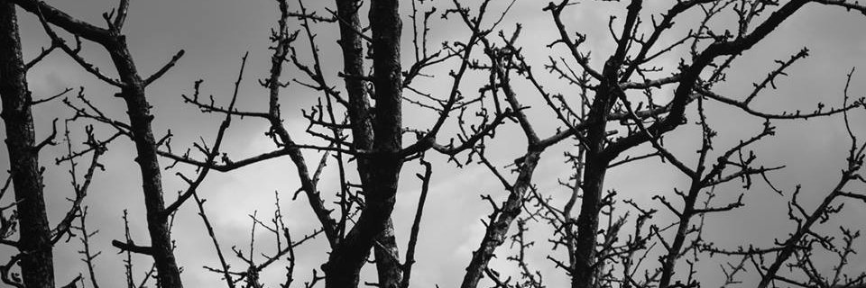 AniaTotaro's profile banner image