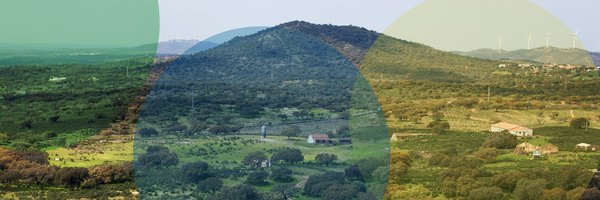 REDIAM_Oficial Profile Banner