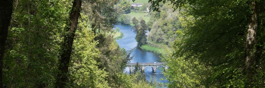 AnnCullen4's profile banner image