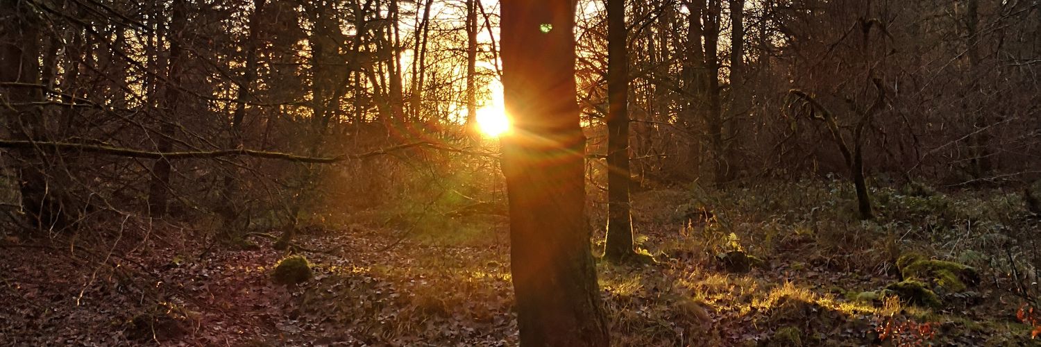 daveyb82's profile banner image