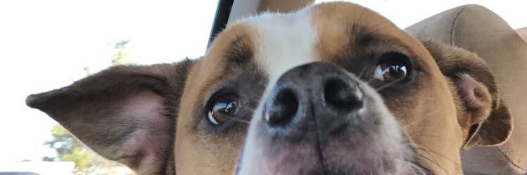 DanChambers89's profile banner image