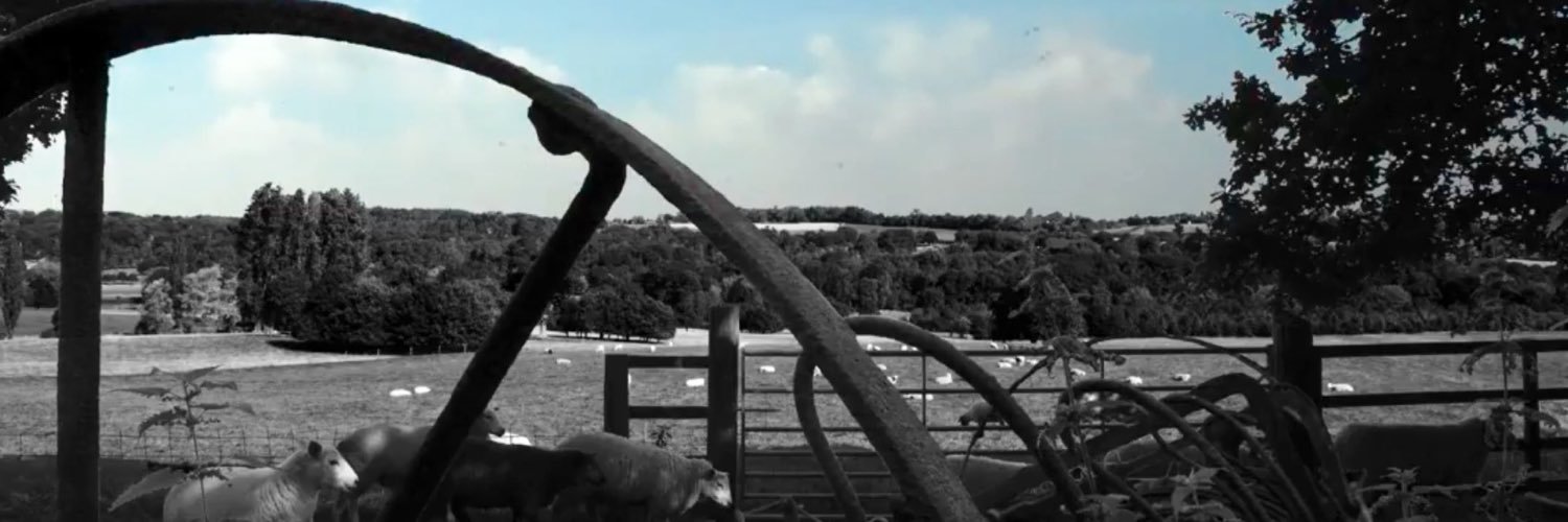 mik_brown64's profile banner image
