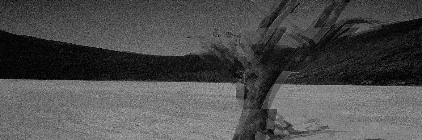 mawlynx's profile banner image