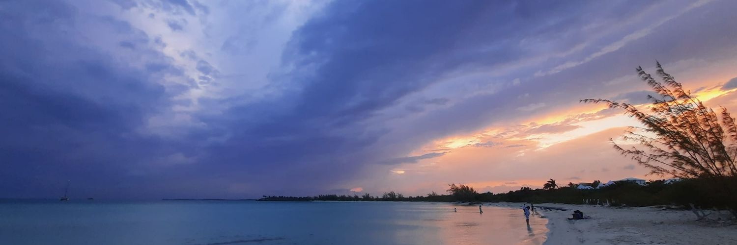 MissP341's profile banner image