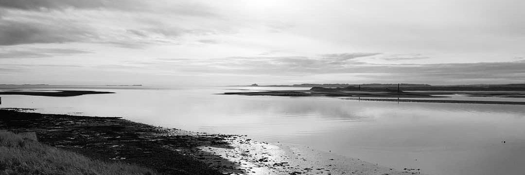 Rebecca Collins banner