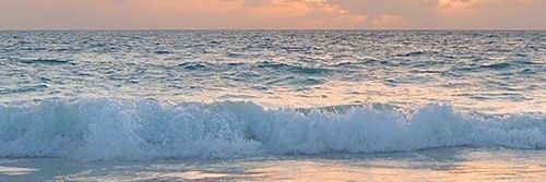 paulamad16's profile banner image