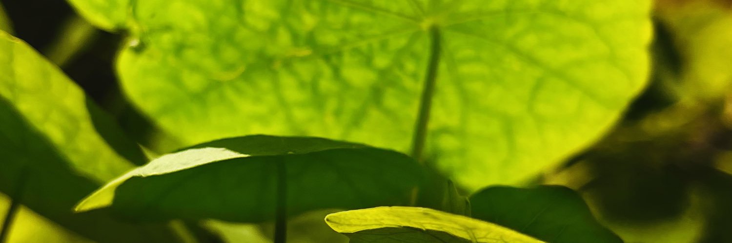 NaughtyDew_'s profile banner image