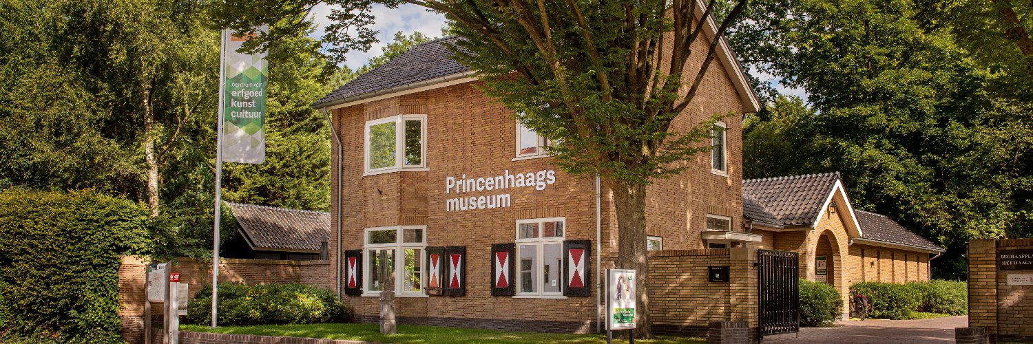 Princenhaags's profile banner image