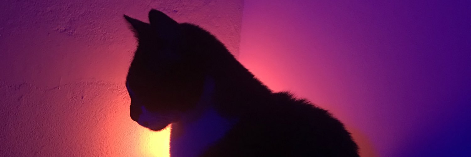 julycontte's profile banner image
