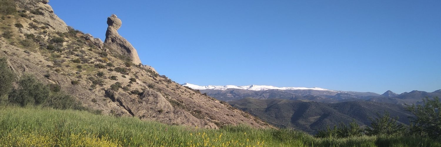 Iván banner