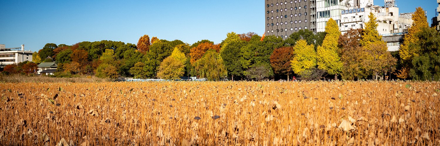 オスカー🦅👑🫐🫧🎠🚓🐾🪞🥗 banner