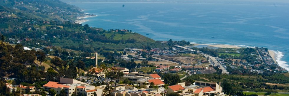 Straus Institute banner