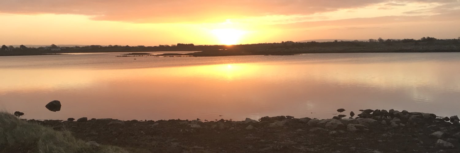 Máire Ní Chaoimh banner
