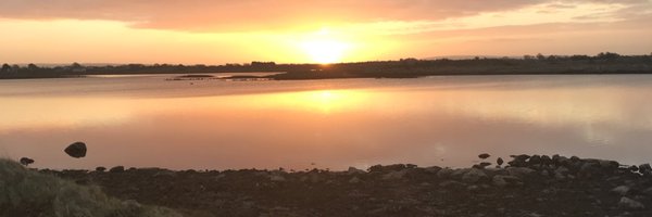 okeeffefiddle Profile Banner