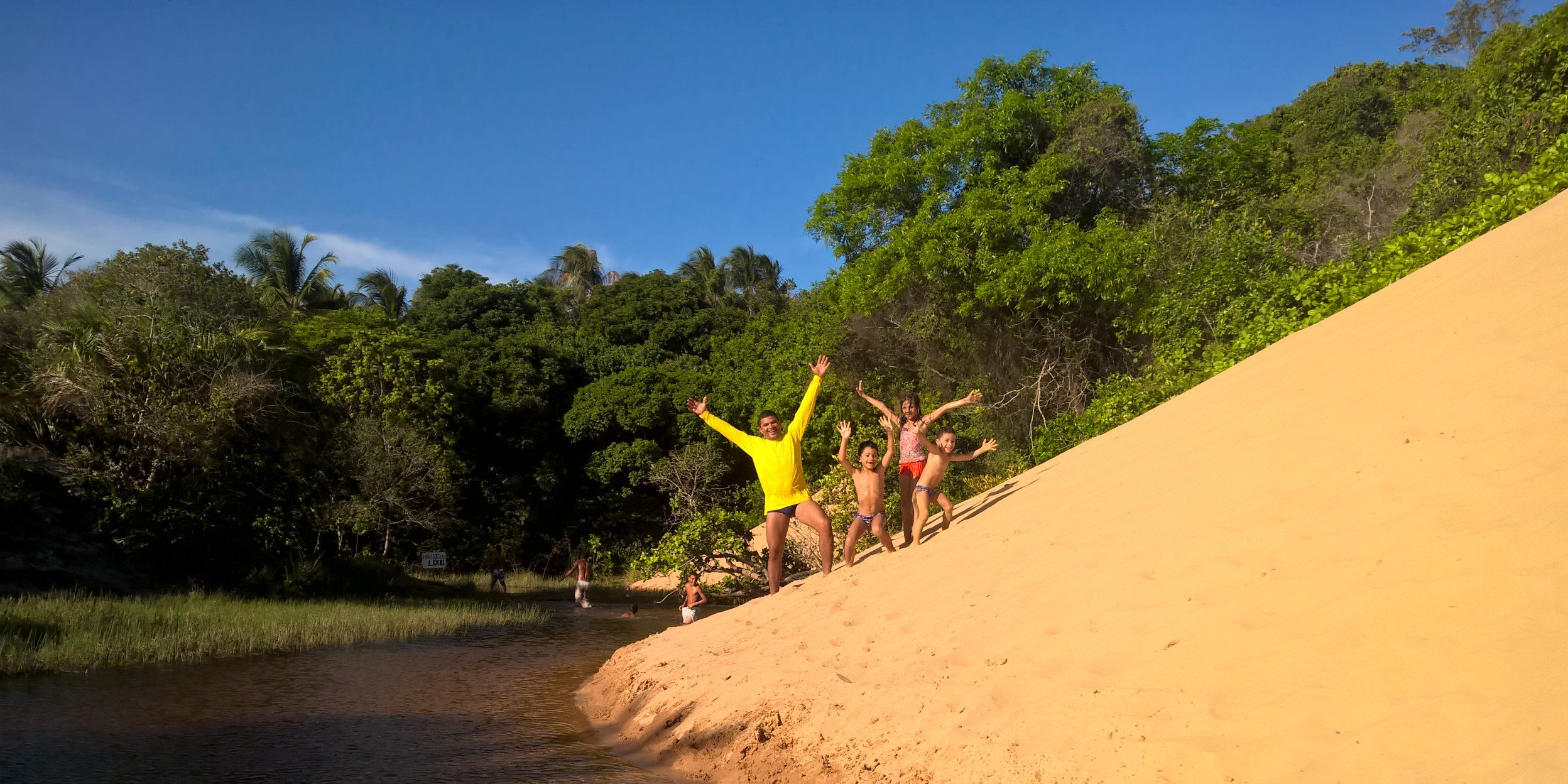 Agrofloresteiro Sem Medo de Ser Feliz. banner